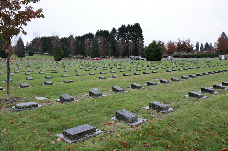 Illustration for article titled Pics from the Cemetery: 2017-11-11 at Mountain View